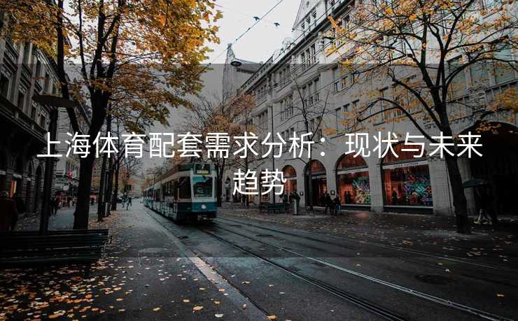 上海体育配套需求分析：现状与未来趋势