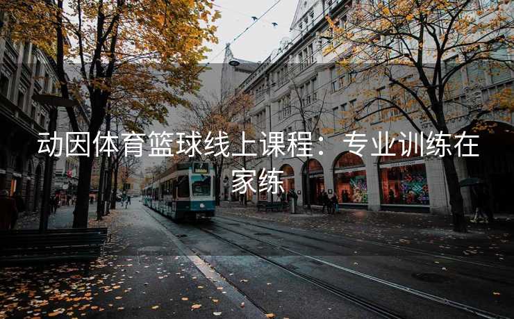 动因体育篮球线上课程：专业训练在家练