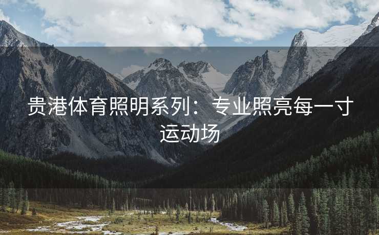 贵港体育照明系列：专业照亮每一寸运动场