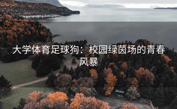 大学体育足球狗：校园绿茵场的青春风暴