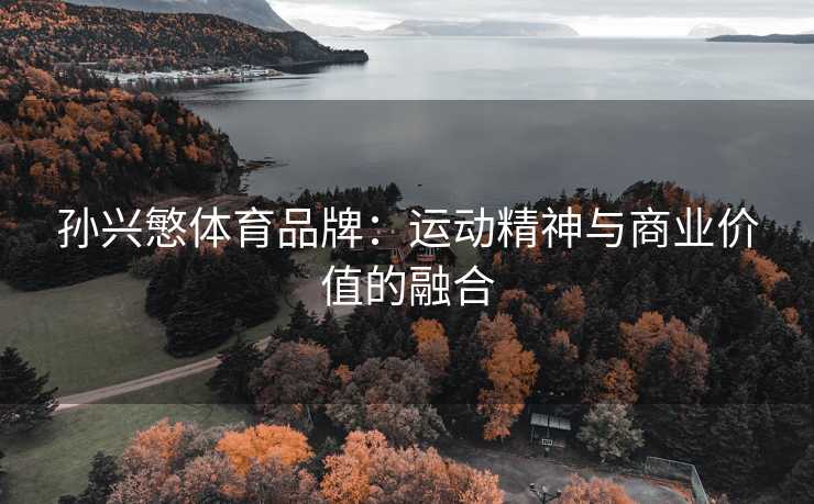 孙兴慜体育品牌：运动精神与商业价值的融合