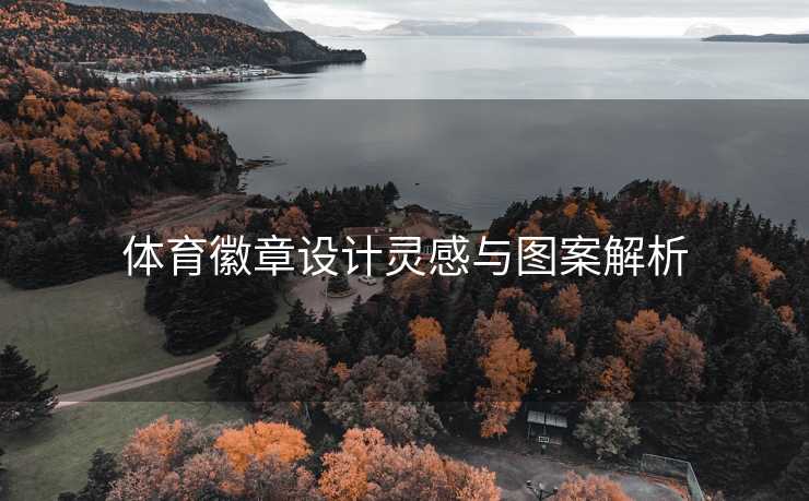 体育徽章设计灵感与图案解析