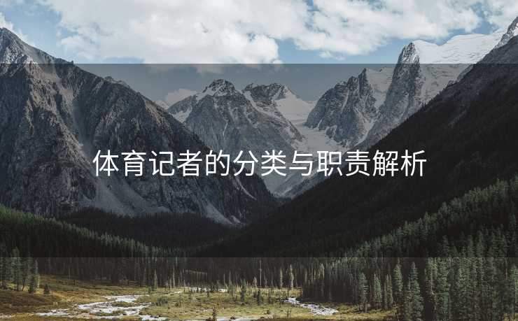 体育记者的分类与职责解析
