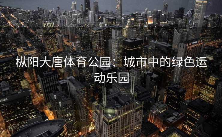 枞阳大唐体育公园：城市中的绿色运动乐园