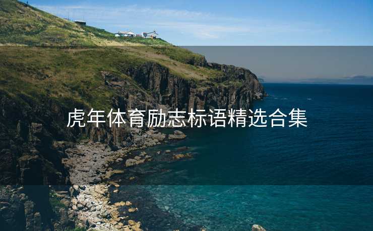 虎年体育励志标语精选合集