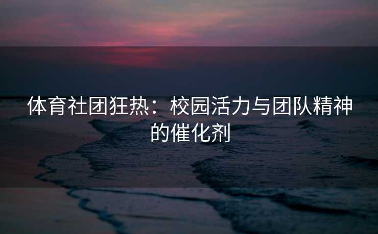 体育社团狂热：校园活力与团队精神的催化剂