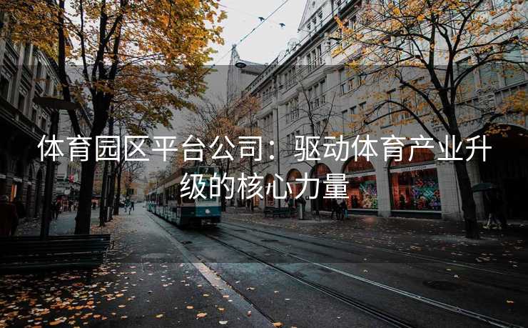 体育园区平台公司：驱动体育产业升级的核心力量