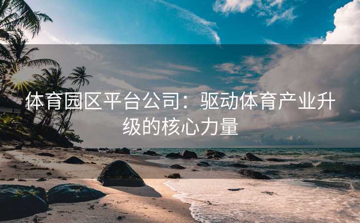 体育园区平台公司：驱动体育产业升级的核心力量