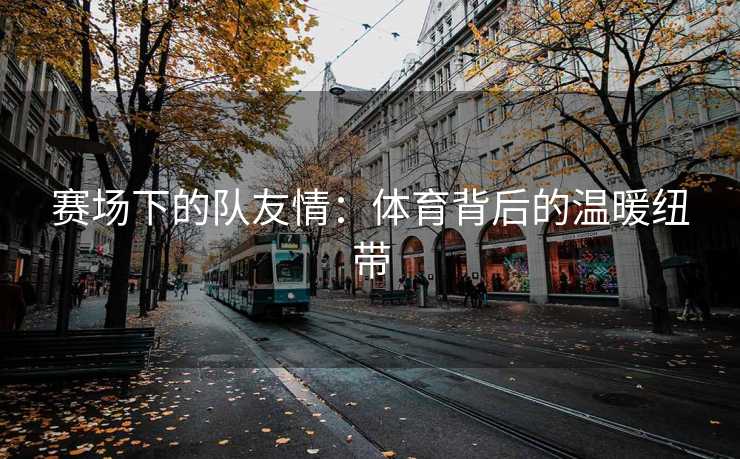 赛场下的队友情：体育背后的温暖纽带