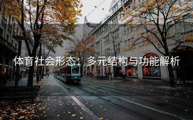 体育社会形态：多元结构与功能解析