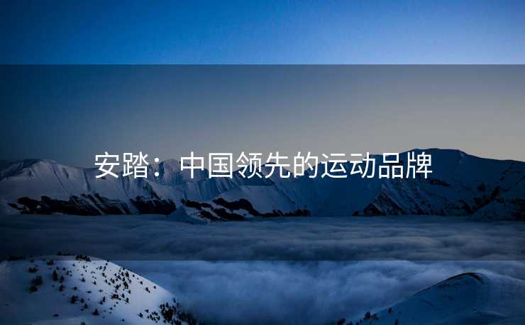 安踏：中国领先的运动品牌