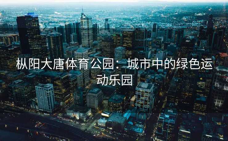 枞阳大唐体育公园：城市中的绿色运动乐园