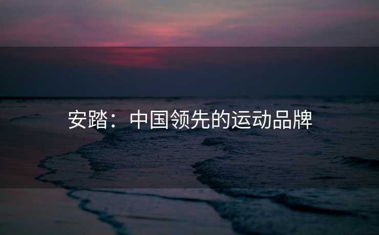安踏:中国领先的运动品牌 安踏:中国领先的运动品牌