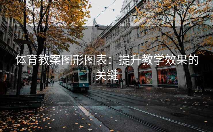 体育教案图形图表：提升教学效果的关键