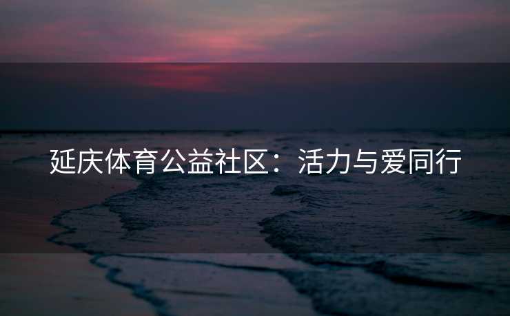 延庆体育公益社区：活力与爱同行