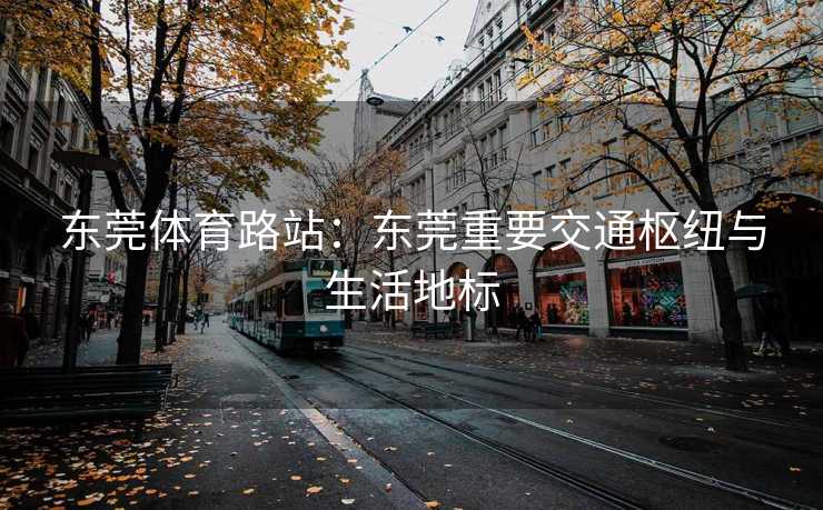 东莞体育路站：东莞重要交通枢纽与生活地标