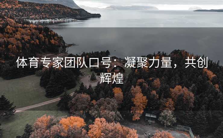 体育专家团队口号：凝聚力量，共创辉煌