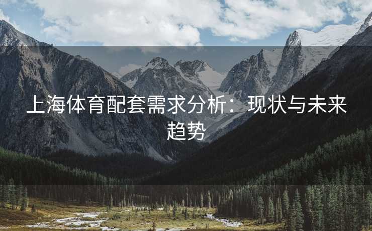 上海体育配套需求分析：现状与未来趋势