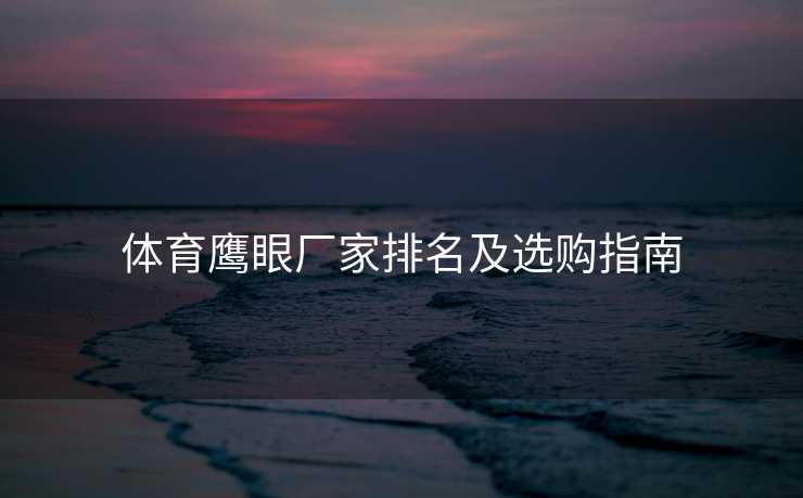 体育鹰眼厂家排名及选购指南