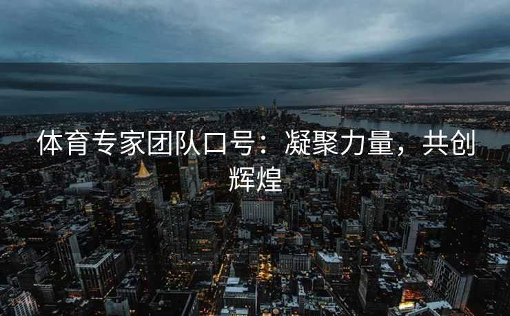 体育专家团队口号：凝聚力量，共创辉煌