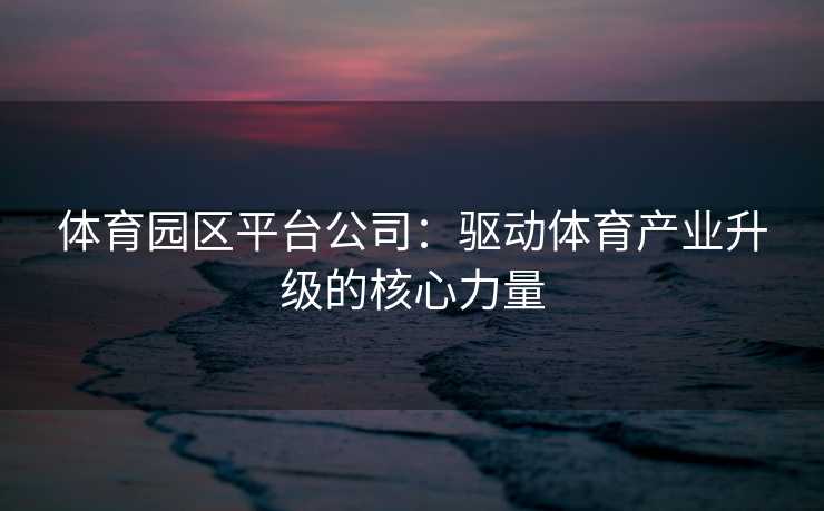 体育园区平台公司：驱动体育产业升级的核心力量