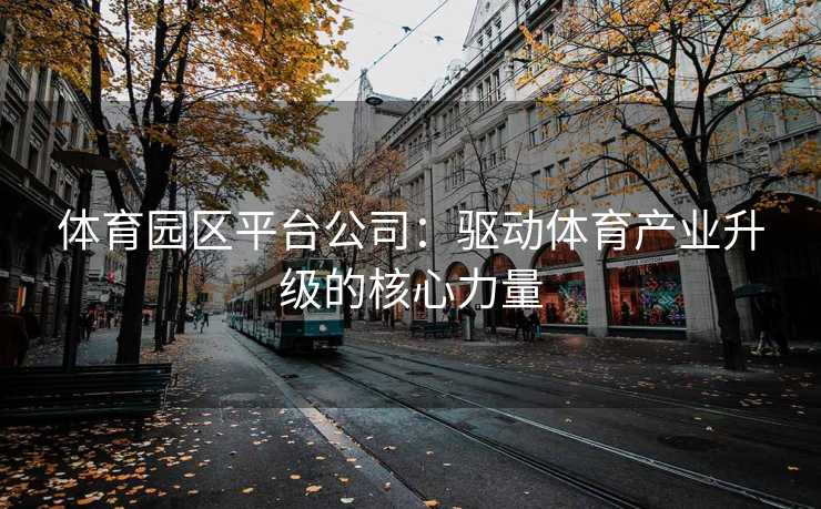 体育园区平台公司：驱动体育产业升级的核心力量