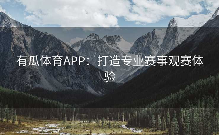 有瓜体育APP：打造专业赛事观赛体验