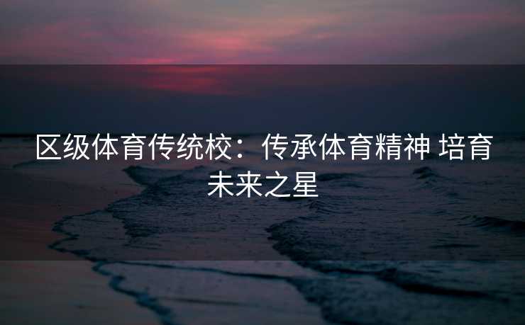 区级体育传统校：传承体育精神 培育未来之星