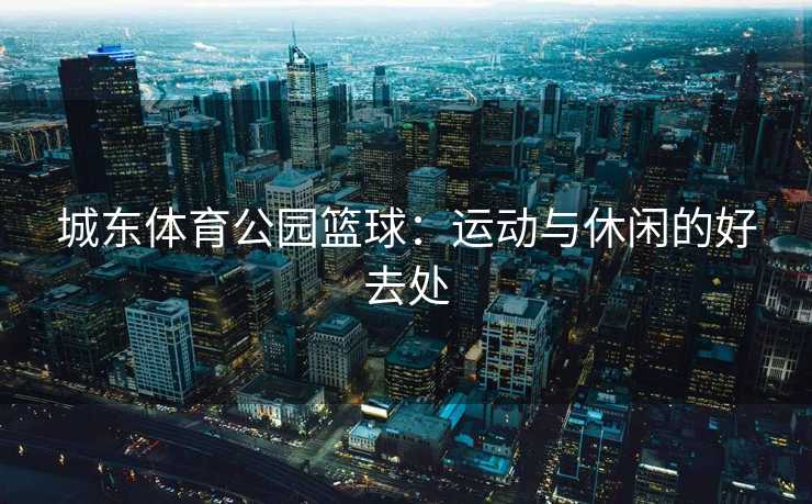 城东体育公园篮球：运动与休闲的好去处